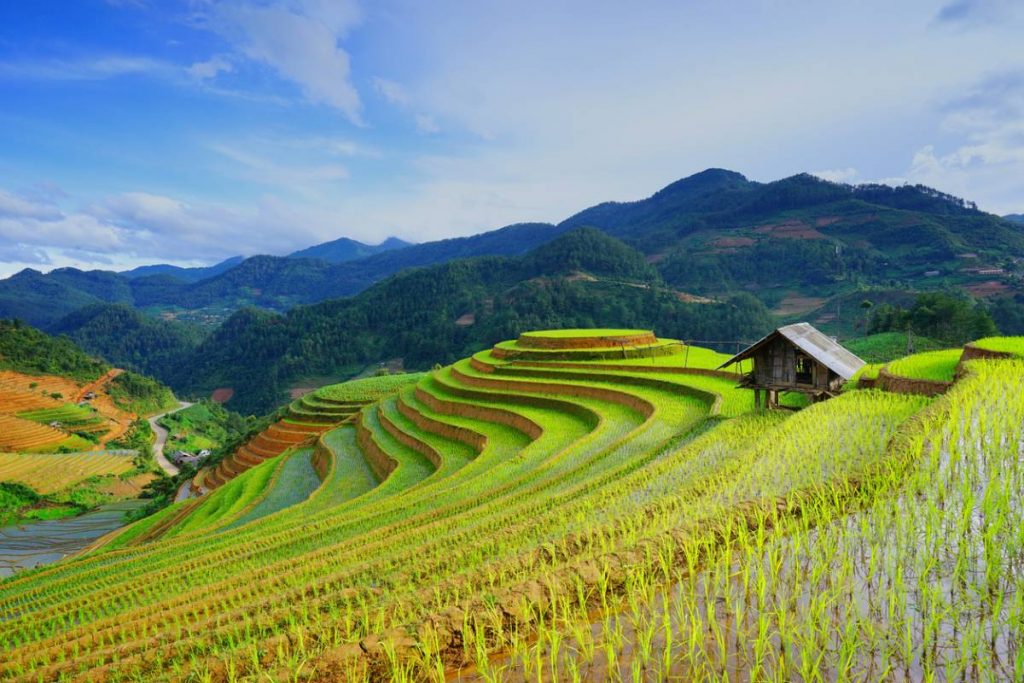 Wie man ein Touristenvisum für Vietnam bekommt!